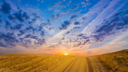  alone pine tree near the road in the sandy desert at the twilight, beautiful evening natural time lapse scene