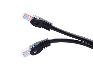 Network cables with molded RJ45 plug  on transparent background (PNG File)