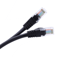Network cables with molded RJ45 plug  on transparent background (PNG File)