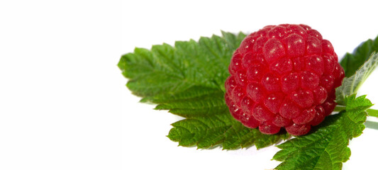 Raspberry. In late summer, native raspberries make their way from the fields to your fridge in abundance. This is a great opportunity to take advantage of this delicate fruit and put it to good use