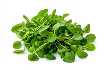 Obraz premium Watercress on a white studio background generative ai