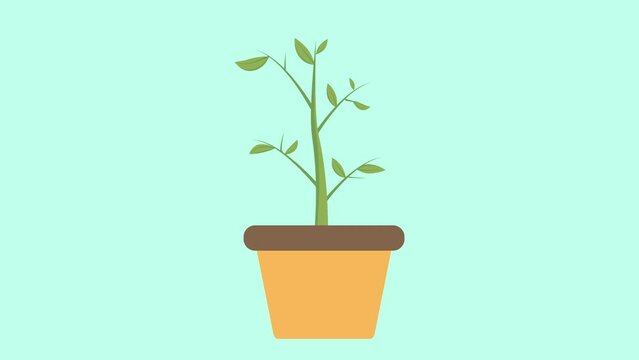 save earth tree animated tree seeds growing in pots animated save landscape