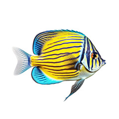 Tropical zebrasoma fish isolated on transparent background, created with generative AI