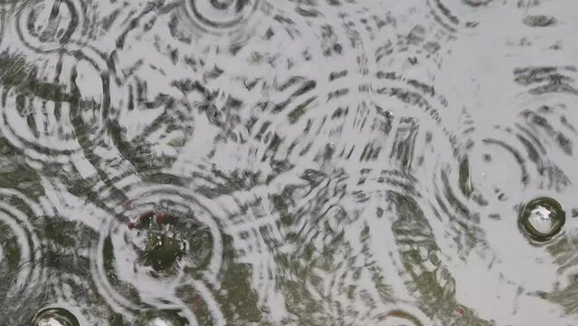 rain drops on river surface with bubbles and water ripples texture abstract random pattern 4k footage with sound