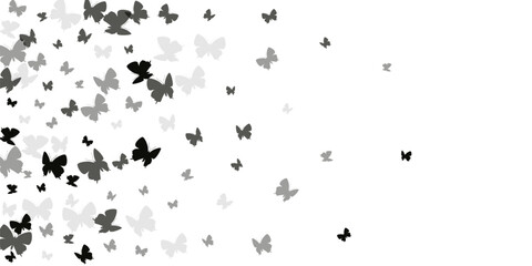 Fairy black butterflies abstract vector background. Spring ornate moths. Wild butterflies abstract kids illustration. Delicate wings insects patten. Garden creatures.