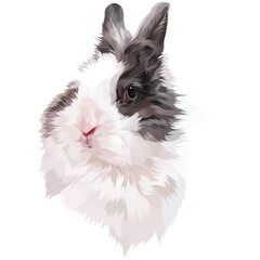 white rabbit painting