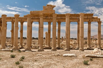 Fototapeta premium View of the ruins of the ancient Palmyra city built in the 1st to 2nd century. UNESCO World Heritage. Syria.
