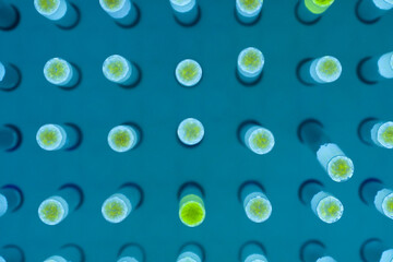 Chemical Ressources Lithium