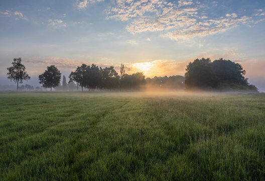 Idyllic meadow with trees and misty fog under dramatic sunrise sky. Czech landscape