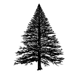 Tree Silhouette with branches and twigs Vector Illustration