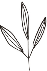 Flower line art