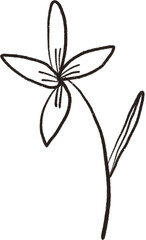 Flower line art