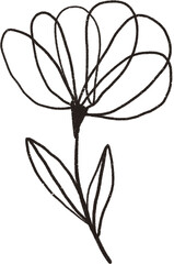 Flower line art