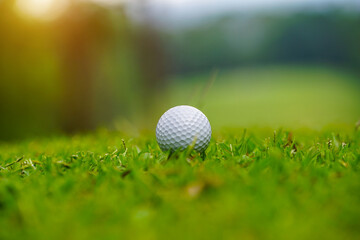 Golf ball on green grass in the evening golf course with sunshine background.