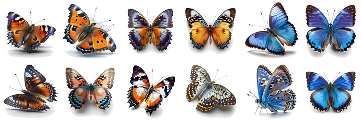 Obraz na płótnie Canvas set of colorful butterflies isolated