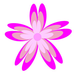 Colorful Flowers Illustration