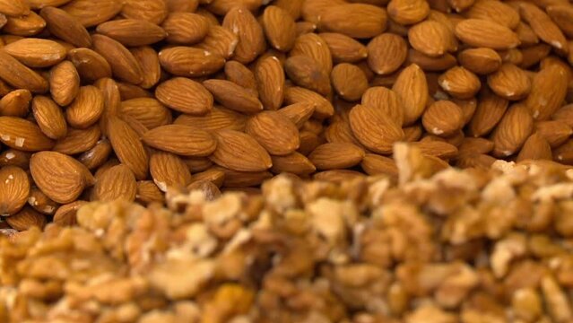 Walnut and almond