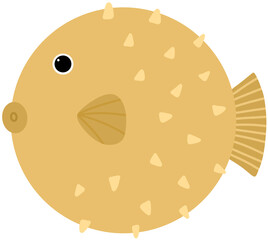 Puffer fish