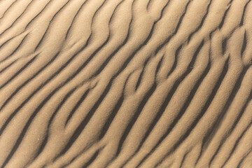Fototapeta na wymiar sand texture dunes, selective focus, blur, background, peace and quiet