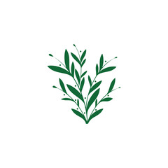 Fresh and Lovely Leaf Logo Designs  | Kappa Studio