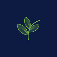 abstrack leaf in green colour vector design