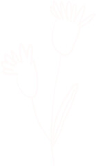 Flower line art