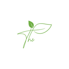 The green leaf isolated on white background