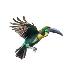 Fototapeta premium an Emerald Toucanette in flight in various positions, rainforest jewel, Wildlife-themed, photorealistic illustrations in a PNG, cutout, and isolated. Generative AI