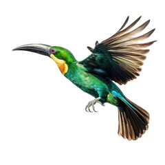 an Emerald Toucanette in flight in various positions, rainforest jewel, Wildlife-themed, photorealistic illustrations in a PNG, cutout, and isolated. Generative AI
