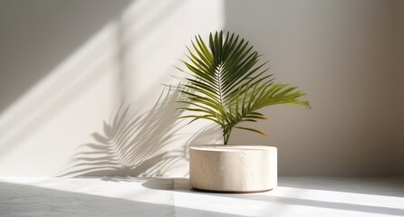 Obraz premium Empty wooden podium with monstera leaves on background, natural shadows design. Beauty product display. Organic Natural concept. Mock up, Spa. Generative ai