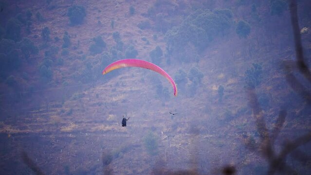 zoomed shot showing para gliding people with a bright pink blue glider in the middle of hills mountains dropping to ground near nanital bir billing manali showing a popular adventure sport for