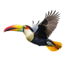 Foto op Aluminium a Toco Toucan in flight, in various positions, rainforest clown, Wildlife-themed, photorealistic illustrations in a PNG, cutout, and isolated. Generative AI © Purple Penguin GFX
