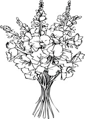 Delphinium July Birth Flower Larkspur Drawing, Bouquet ofLarkspur flower hand drawn pencil sketch coloring page and book for adults isolated on white background floral element illustration ink art.