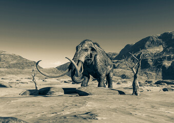 Fototapeta premium colossadon mammoth is walking among the dead trees on the dry desert in front view