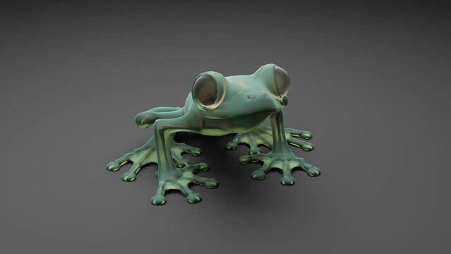 rotation of a 3d model of a semitransparent treefrog body in gray background