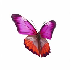 Pink & white butterfly with white background " ai generated "