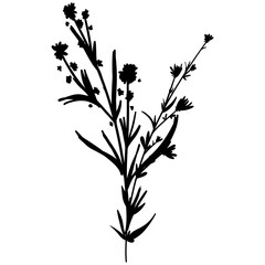 Silhouette botanic blossom floral element. Branch with leaves and flowers. Black hand drawing wildflower bouquet. Vector illustration herbs isolated on white background