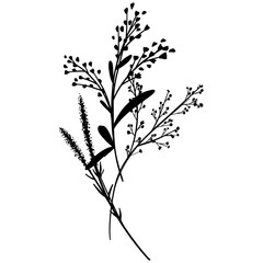 Silhouette botanic blossom floral element. Branch with leaves and flowers. Black hand drawing wildflower bouquet. Vector illustration herbs isolated on white background