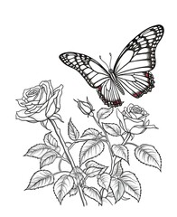 Plakat Ink drawing coloring page for children, a beautiful rose, among flowers and butterflies, for children s coloring, black and white, low detail, thick outlines, isolated, white background,