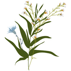 Field Flowers on Branch. Wildflower Icon. Hand Drawn	