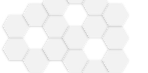 Luxury white and grey hexagonal abstract background with shadow. Geometric 3d texture illustration. Abstract hexagonal concept technology, banner and wallpaper background.