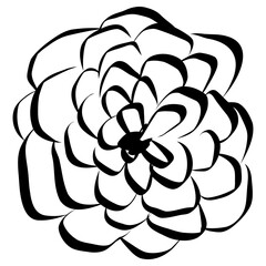 Flower Icon. Simple Hand Drawn Floral Element. Black Sketch ink Drawing Plant. Wildflower