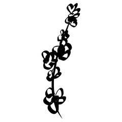 Flower Icon. Simple Hand Drawn Floral Element. Black Sketch ink Drawing Plant. Wildflower