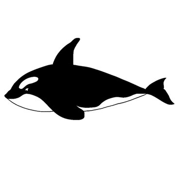 recommend clip art: silhouette of a shark