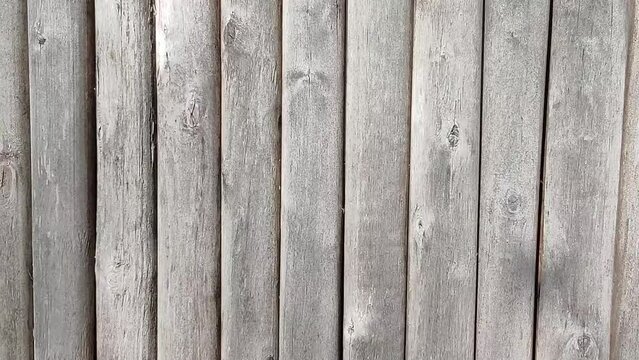 Gray fence made of old wooden planks