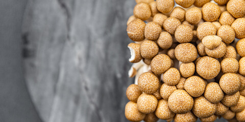 mushroom shimeji brown fresh food snack on the table copy space food background rustic top view 