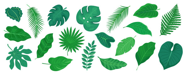 Set of tropical vector summer leaves. Exotic jungle leaves. Illustration for tropical paradise design