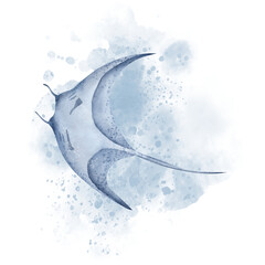 Manta Ray Fish with watercolor splashes. Hand drawn illustration of Stingray on isolated background. Giant sea devil in blue colors. Drawing of underwater marine tropical wild animal devilfish.
