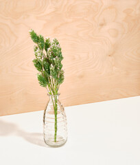 A beautiful green plant branch stands in a beautiful vase on a wooden background. Copy space for text.