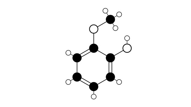 guaiacol molecule, structural chemical formula, ball-and-stick model, isolated image phenolic compound